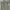 thisisneverthat Streetwear Casual Parka Pria multicolor photo 2
