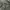 thisisneverthat Streetwear Casual Parka Pria multicolor photo 3
