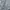 Dickies Casual Formal shirt Pria gray photo 6