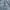 Dickies Casual Formal shirt Pria gray photo 7