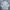 Dickies Casual Formal shirt Pria gray photo 2