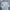 Dickies Casual Formal Shirt Pria Gray
