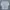 Dickies Casual Formal shirt Pria gray photo 1
