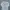 Dickies Casual Formal Shirt Pria Gray