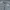 Dickies Casual Formal shirt Pria gray photo 5