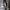 Y2K Casual pants Pria white black photo 2