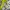 Columbia Y2K Gorpcore Puffer jacket Pria white black photo 3