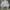 Columbia Y2K Gorpcore Puffer jacket Pria white black photo 5