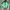 The North Face Y2K Gorpcore Track Jacket Pria Green Black