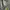The North Face Y2K Gorpcore Track jacket Pria green black photo 5