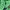 The North Face Y2K Gorpcore Track jacket Pria green black photo 4