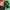 The North Face Y2K Gorpcore Track jacket Pria green black photo 6