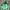 The North Face Y2K Gorpcore Track jacket Pria green black photo 2