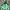 The North Face Y2K Gorpcore Track Jacket Pria Green Black