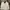 H&M Coquette Casual Crop top Wanita white photo 1