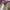 Kate Spade Vintage Crossbody Bag Wanita purple photo 5