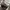Reebok Sportswear Sneakers Pria white photo 1