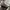 Reebok Sportswear Sneakers Pria White