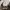 Reebok Sportswear Sneakers Pria white photo 3