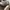 Reebok Sportswear Sneakers Pria white photo 2