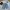 JNCO Vintage Y2K Jeans Pria silver blue photo 6