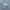 MLB Casual Sweatshirt Pria gray photo 7