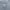 MLB Casual Sweatshirt Pria gray photo 5