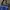 Fila Streetwear Y2K Bag Pria white navy photo 2