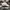 Casual Hat Pria white photo 4