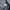 Starter Casual Sweatshirt Pria gray photo 3