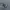 Starter Casual Sweatshirt Pria gray photo 4