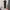 Nike Streetwear Sportswear Sweatpants & Joggers Pria black photo 1