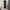 Streetwear Sportswear Sweatpants & Joggers Pria black photo 1