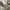 Casual Windbreaker Pria white photo 5