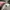 Under Armour Casual Hat Pria white photo 7