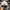 Under Armour Casual Hat Pria white photo 3