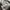 WHO.A.U Streetwear Sportswear Sweatshirt Pria cream photo 4