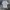 Polo Ralph Lauren Streetwear Minimalist Formal shirt Pria multicolor white photo 1