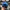 Head Casual Hat Pria blue photo 3