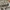 Dickies Casual Hoody Pria gray photo 4