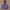 Mark Gonzales Casual Hoody Pria purple photo 1