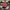Balenciaga Casual Hat Pria red photo 1