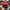 Balenciaga Casual Hat Pria red photo 3