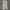 Indie Jeans Pria gray photo 4