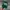 Stussy Vintage Streetwear Hat Pria green photo 1