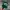 Stussy Vintage Streetwear Hat Pria Green