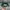Stussy Vintage Streetwear Hat Pria green photo 3