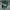 Stussy Vintage Streetwear Hat Pria Green