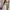 Minimalist Summer dress Wanita white photo 3