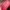 Gucci Y2K Bags & purse Wanita red photo 5